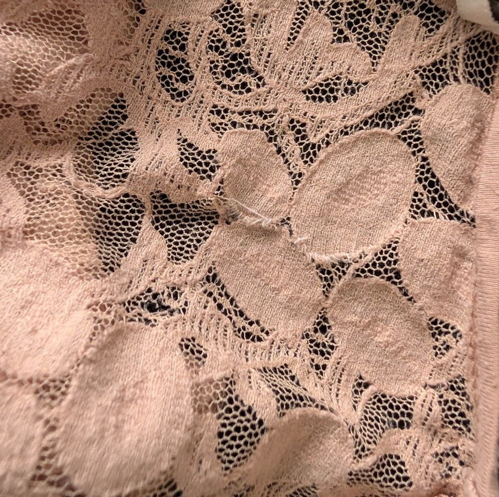 Lace Feminine Blush Pink Sheer Crop Top Coquette Fairy Romantic Kawaii Sz Small - Picture 10 of 14